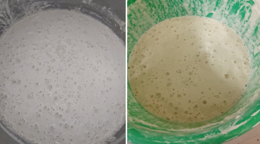 Готовая закваска в ферментаторе на высшем сорте и в ведре (на пробных выпечках) на 1-м сорте