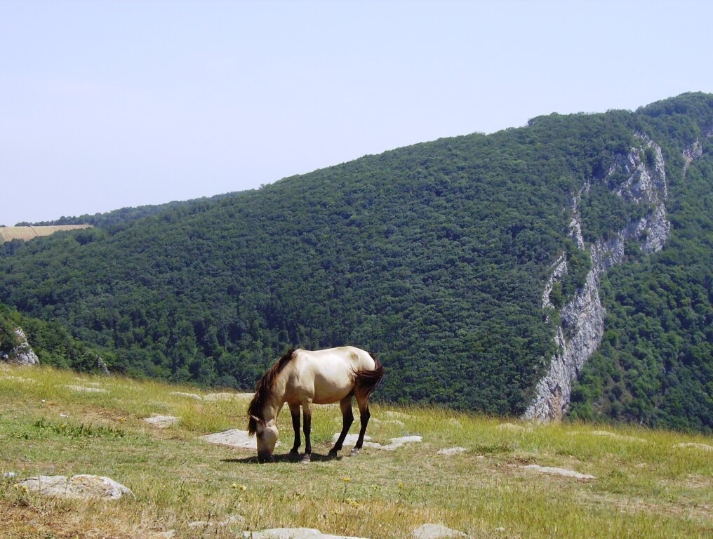 Нагорный Карабах - Родина карабахских армян