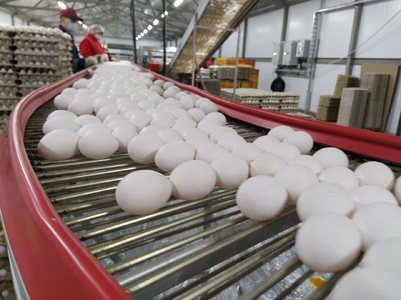 Фото: пресс-служба правительства Ленинградской области