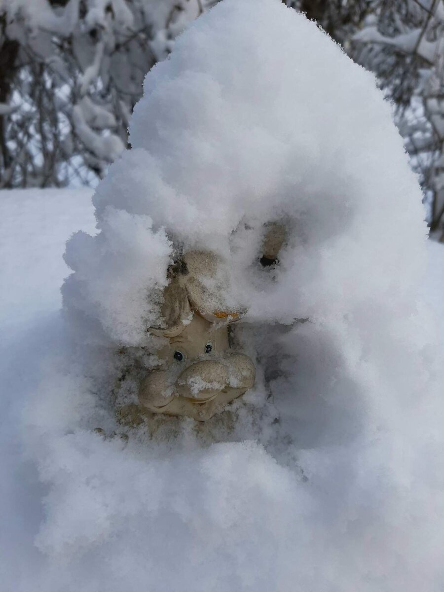  Это я со свалившейся на меня горой проблем))