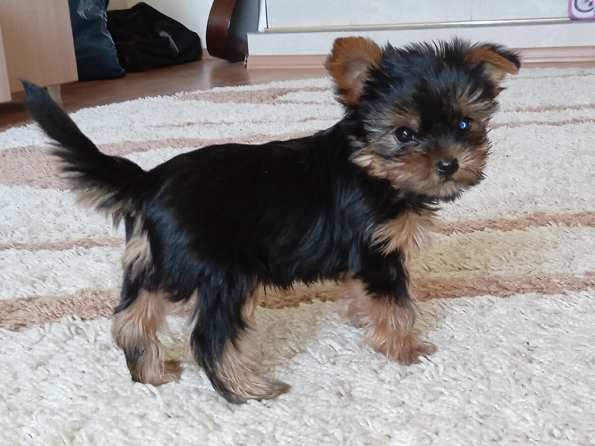 Локки 13 июля 2023