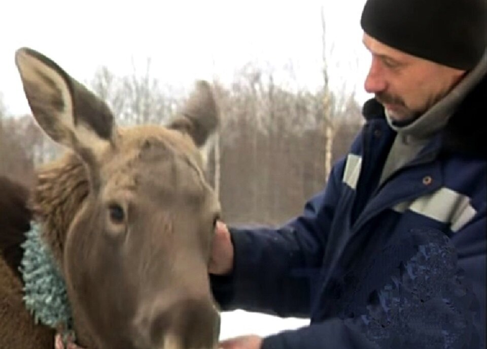 Майя и Сергей