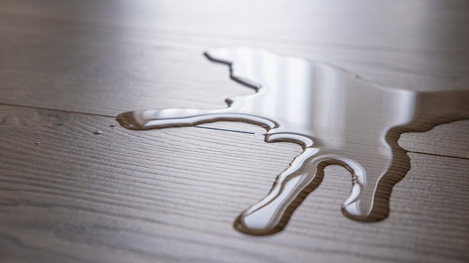 Здесь и далее фото ShutterStock/Fotodom.ru