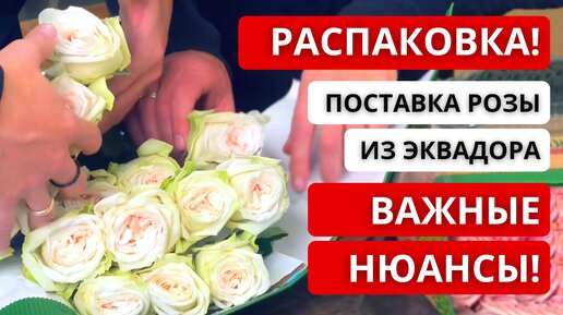 💥 РАСПАКОВКА ПОСТАВКИ РОЗЫ ИЗ ЭКВАДОРА! Что нужно учитывать и делать, когда принимаем поставку?