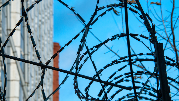 © SVETLANA VOZMILOVA/GLOBALLOOKPRESS 