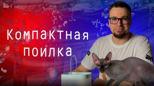 Умный обзор: фонтанчик для питомца