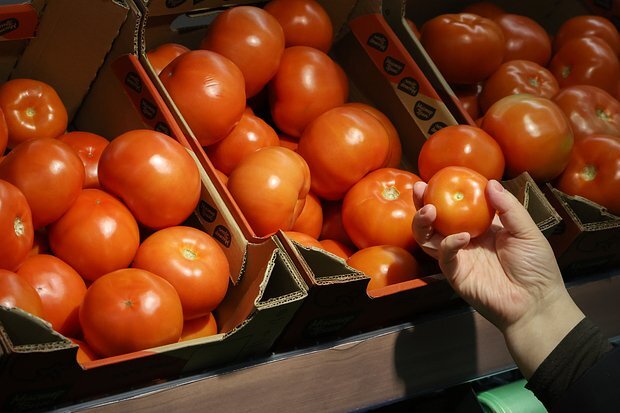    Фото: Кирилл Кухмарь / ТАСС