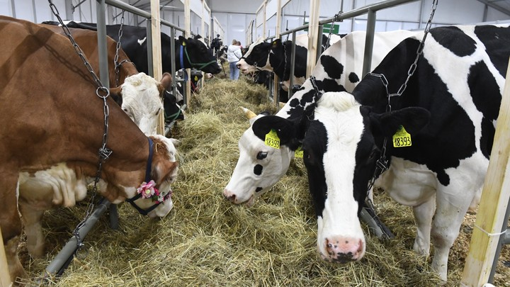 KOMSOMOLSKAYA PRAVDA/GLOBALLOOKPRESS 