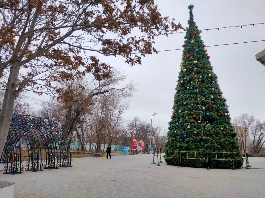 Фото: Е. Зимней.