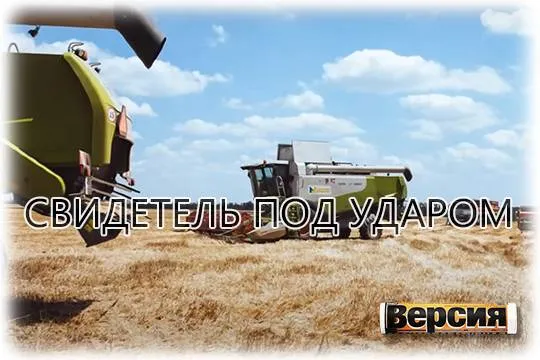 Как связанная с концерном «Покровский» Ольга Рябоконь может влиять на ход уголовных дел против её коллег (скриншот: youtube.com/НОВОСТИ СЕГОДНЯ 24\7)