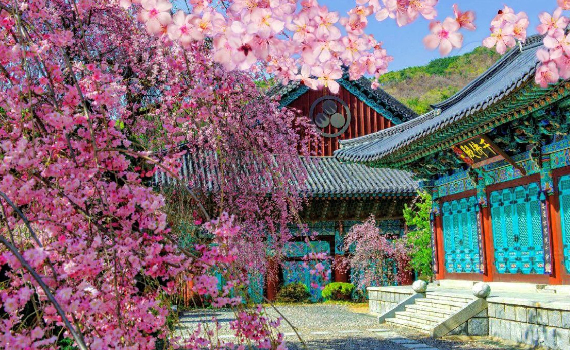 Весна в Корее