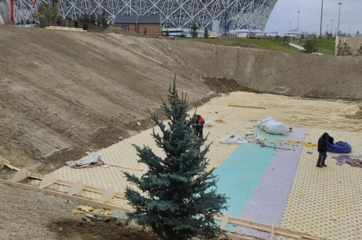    Четырехметровые ели высадили в Волгограде на склоне снежных горок в ЦПКиО