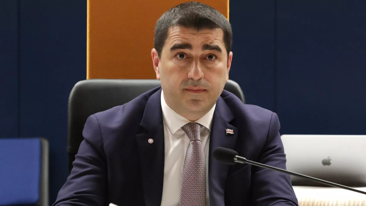 Решения президента Грузии невозможно спрогнозировать – глава парламента ...