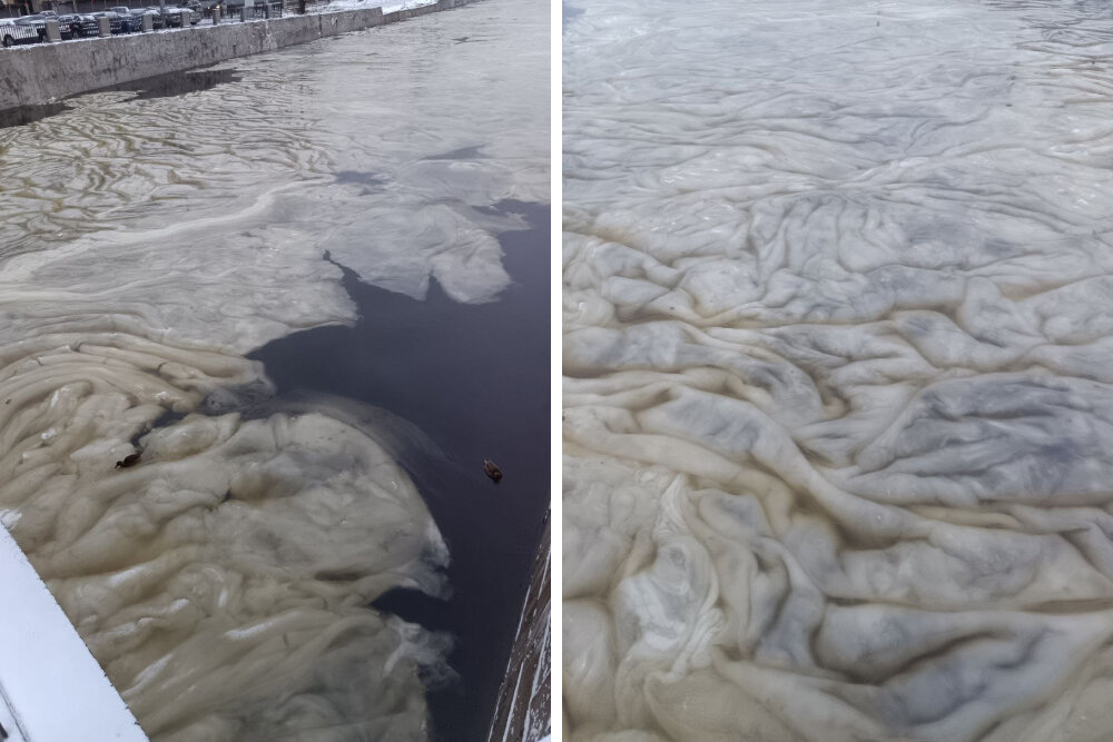    Фото: Megapolisonline/Telegram