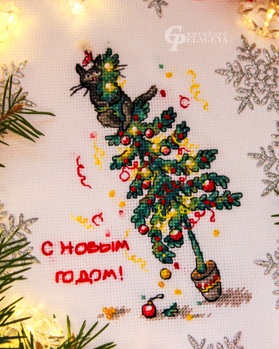 "усатая звезда"