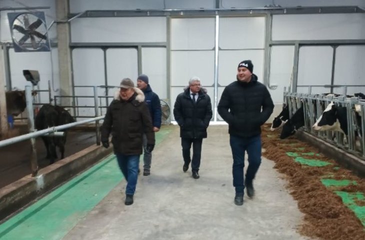    Костромская молочная ферма стремится войти в список прогрессивных хозяйств после модернизации