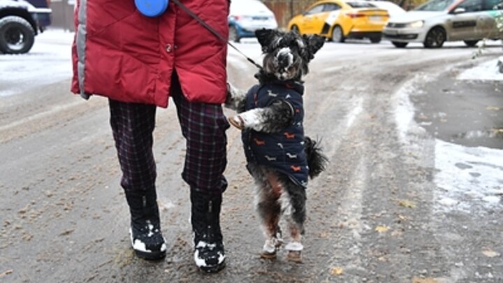 ФОТО: KOMSOMOLSKAYA PRAVDA/GLOBALLOOKPRESS