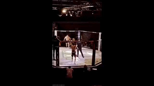 Хико Локо тепло встречает неудавшегося бразильского Масвидаля