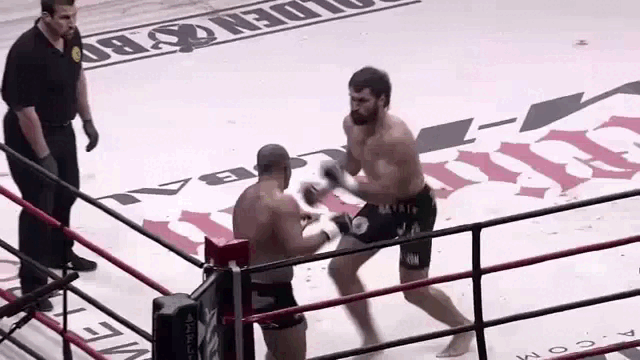 Федор Емельяненко прерывает полет "Орла", правда делает это не быстро