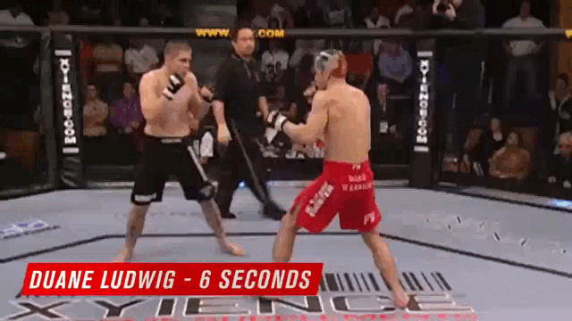 Дуэйн Людвин нокаутировал Джонотана Гули