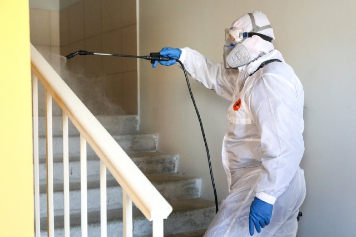    Псковичам рассказали, как отличить мошенников от дезинсекторов