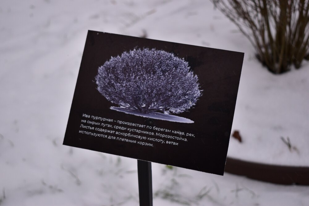    Фото: Администрация Твери