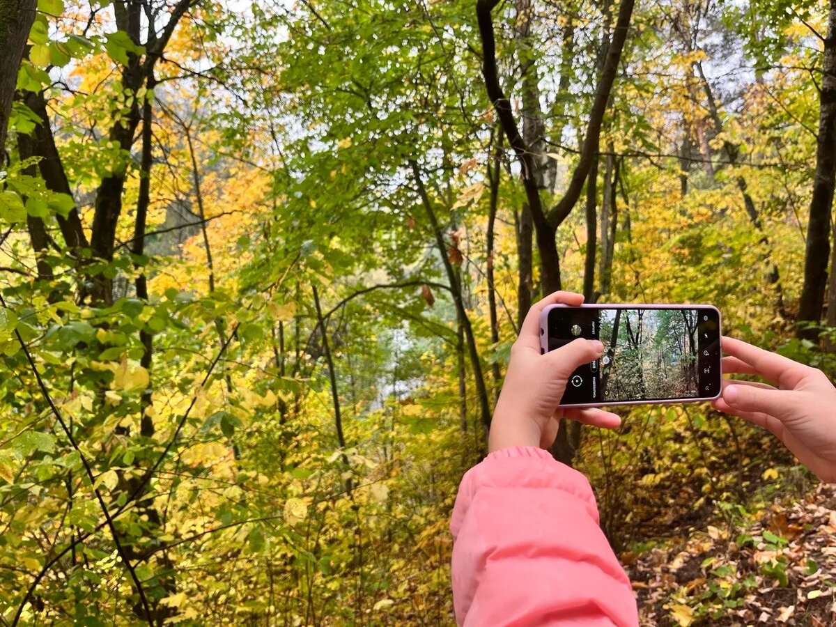 фото из открытых источников