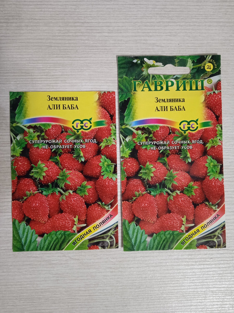 Эти семена я выращивала в прошлые сезоны