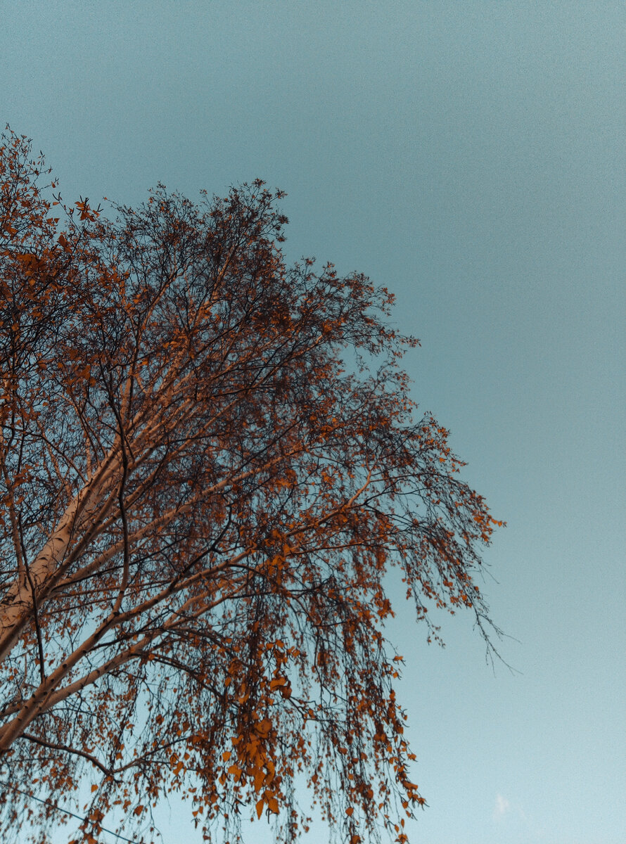 Чистого вам неба.. Фото автора.. 