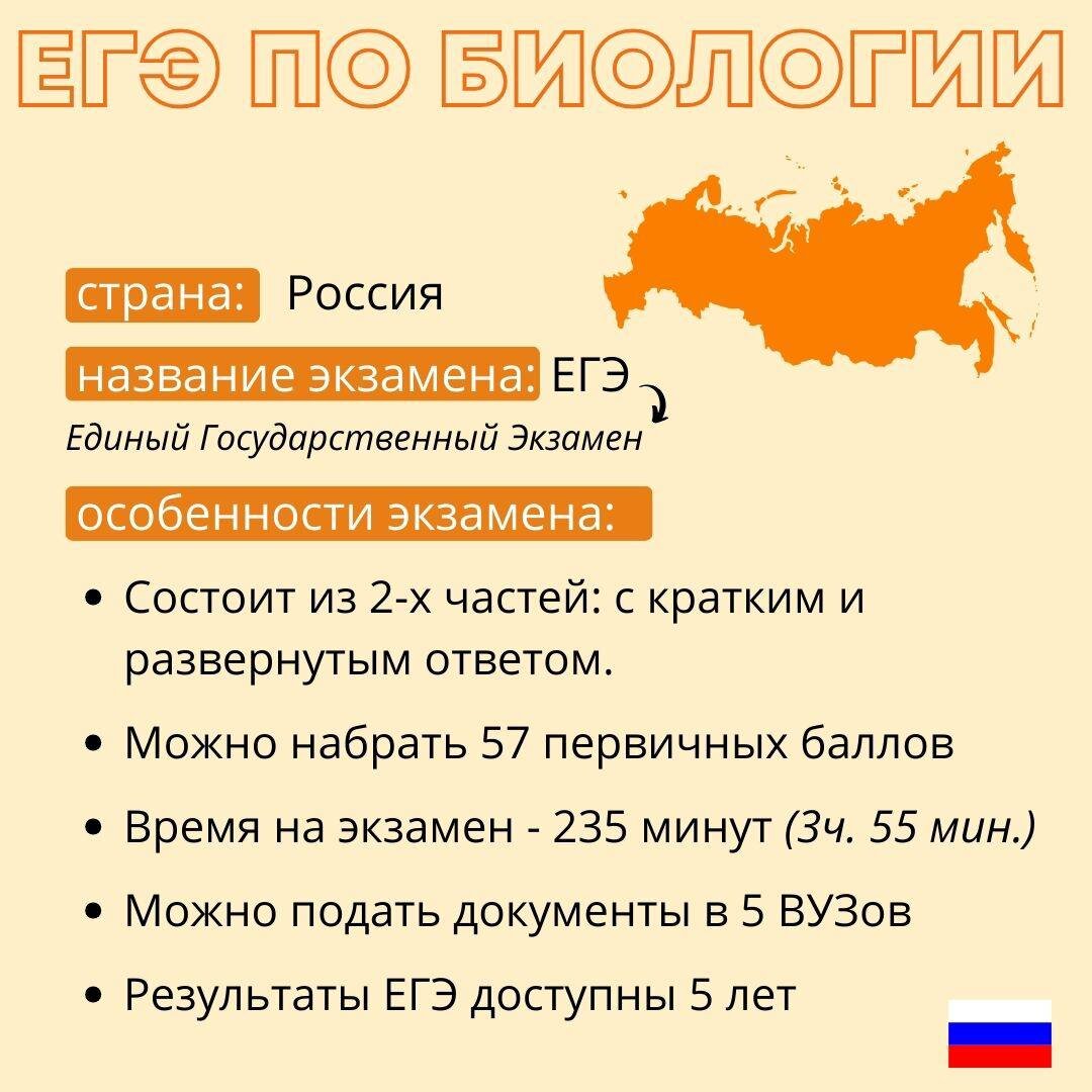 Отличия ЕГЭ в России, Беларуси и Казахстане | Алёна Бриз | Дзен