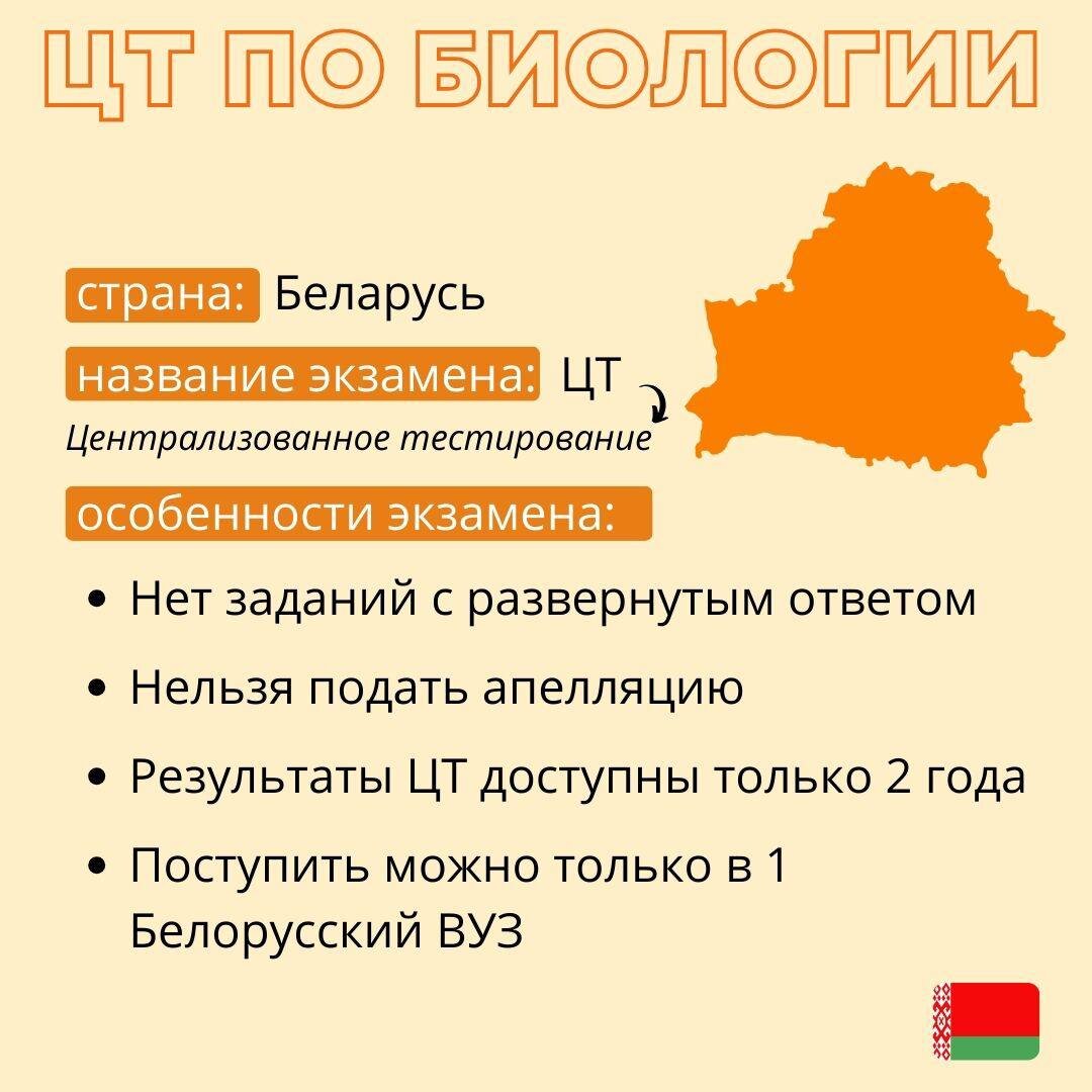 Отличия ЕГЭ в России, Беларуси и Казахстане | Алёна Бриз | Дзен