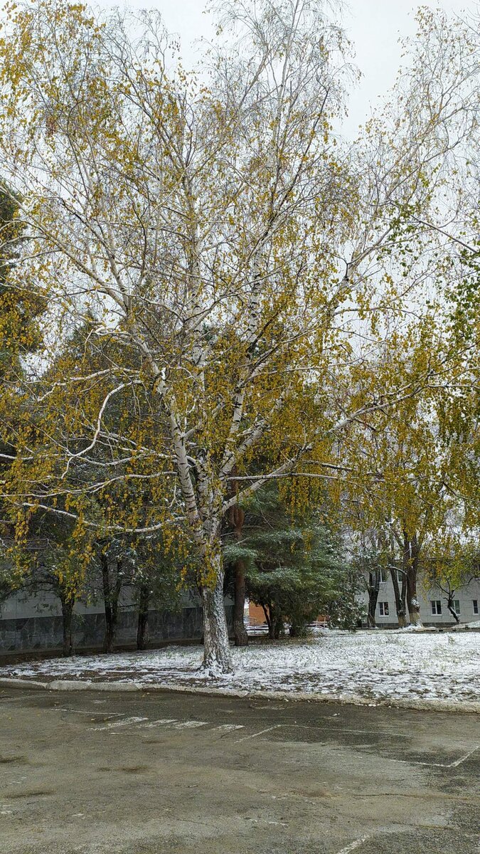 Утром .