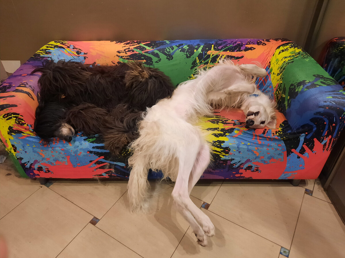 Осторожная сдержанность востока и русские чудеса баланса