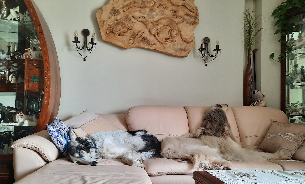 И даже спят они по разному)