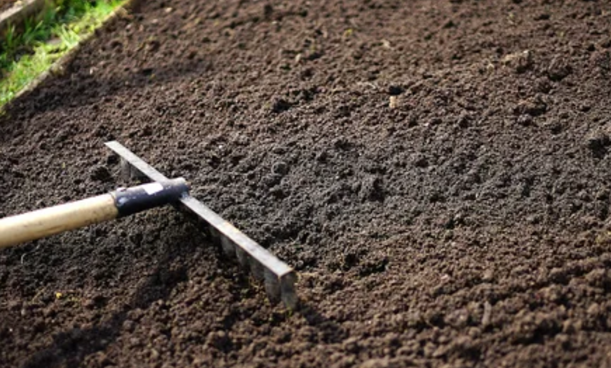 Убедитесь, что почва вашего сада хорошо подготовлена до наступления сезона посадки
