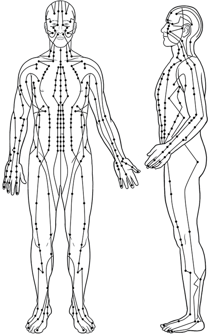 Метод ци. Энергетические меридианы человека китайская медицина. Акупунктура меридианы тела человека схема. Энергетические меридианы человека схема. Меридианы человека схема и направления китайская.
