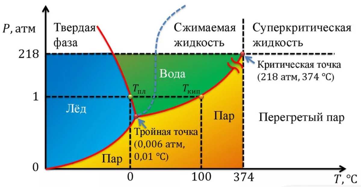 Диаграмма состояния вещества в координатах давление объем содержащая критическую точку