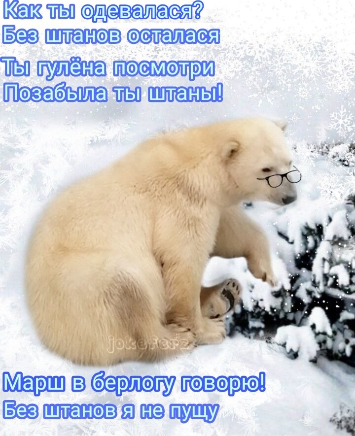 Марш в берлогу говорю! Без штанов я не пущу 