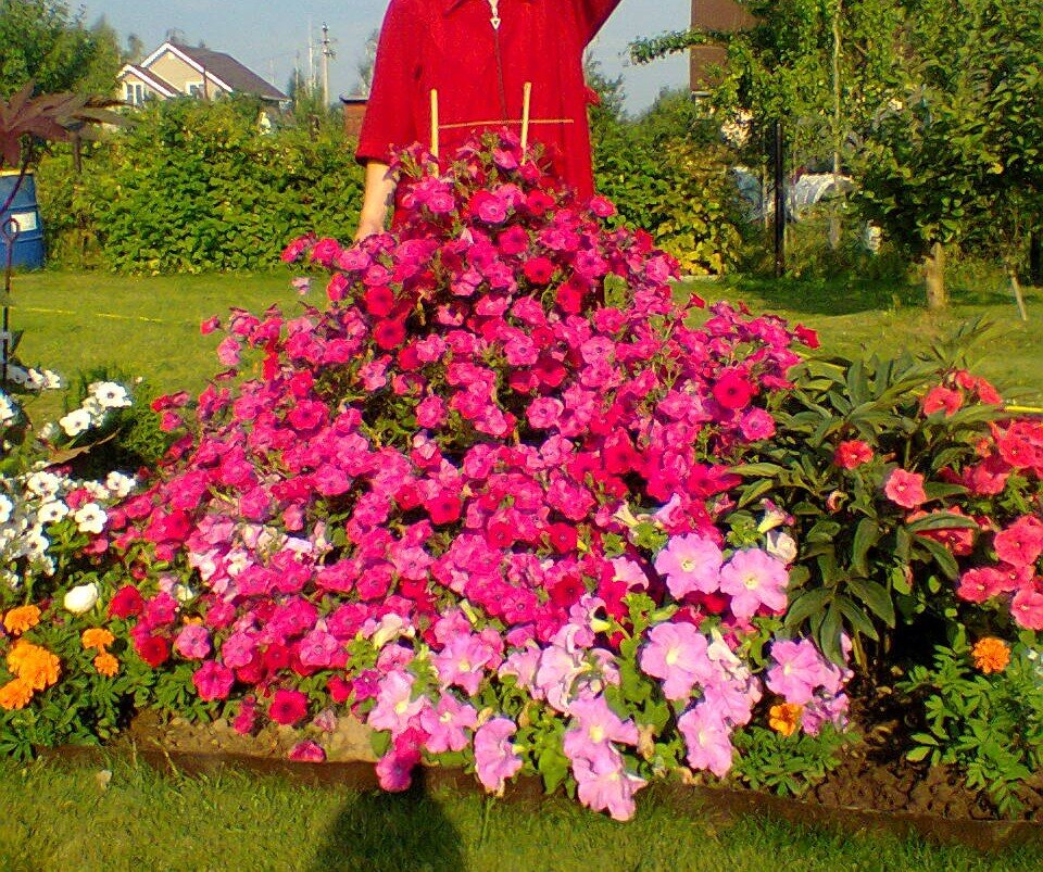 Добрый великан Tidal weiv.