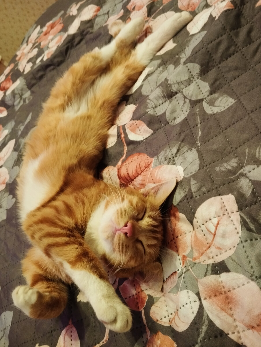 Зло сладко спит) 