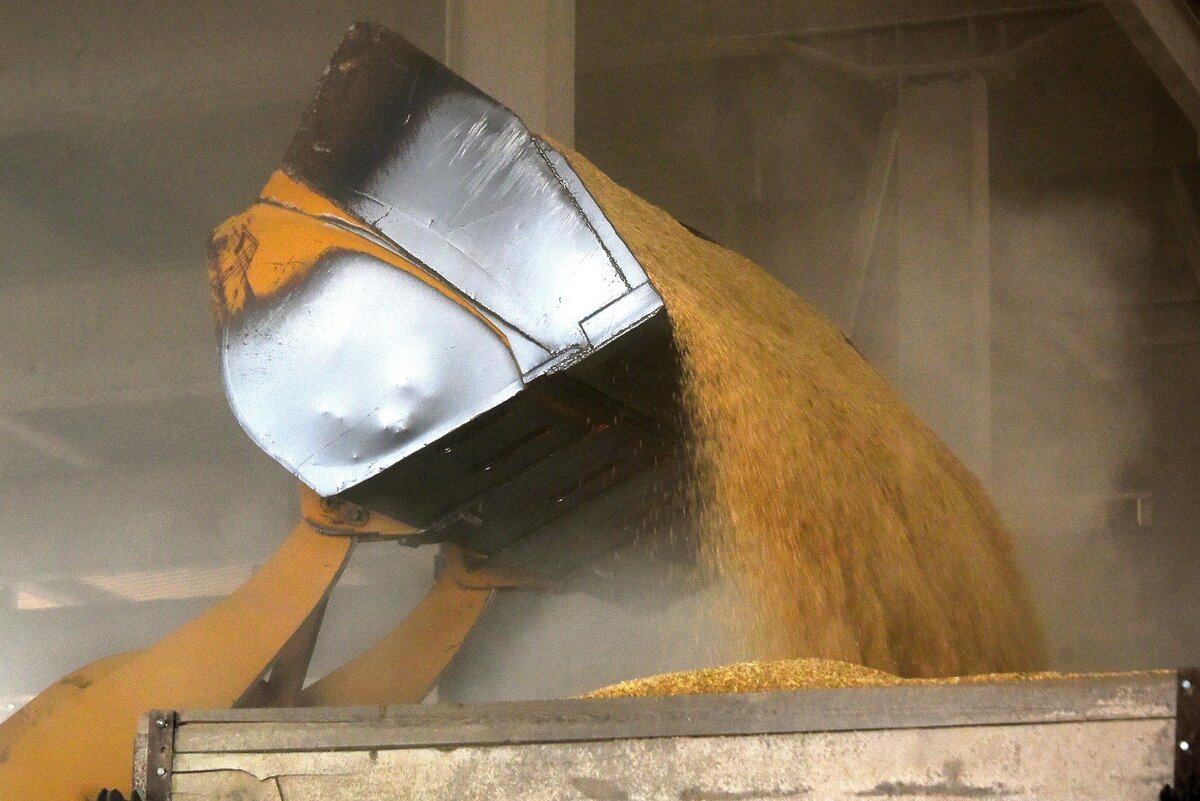 Источник: Российская газета