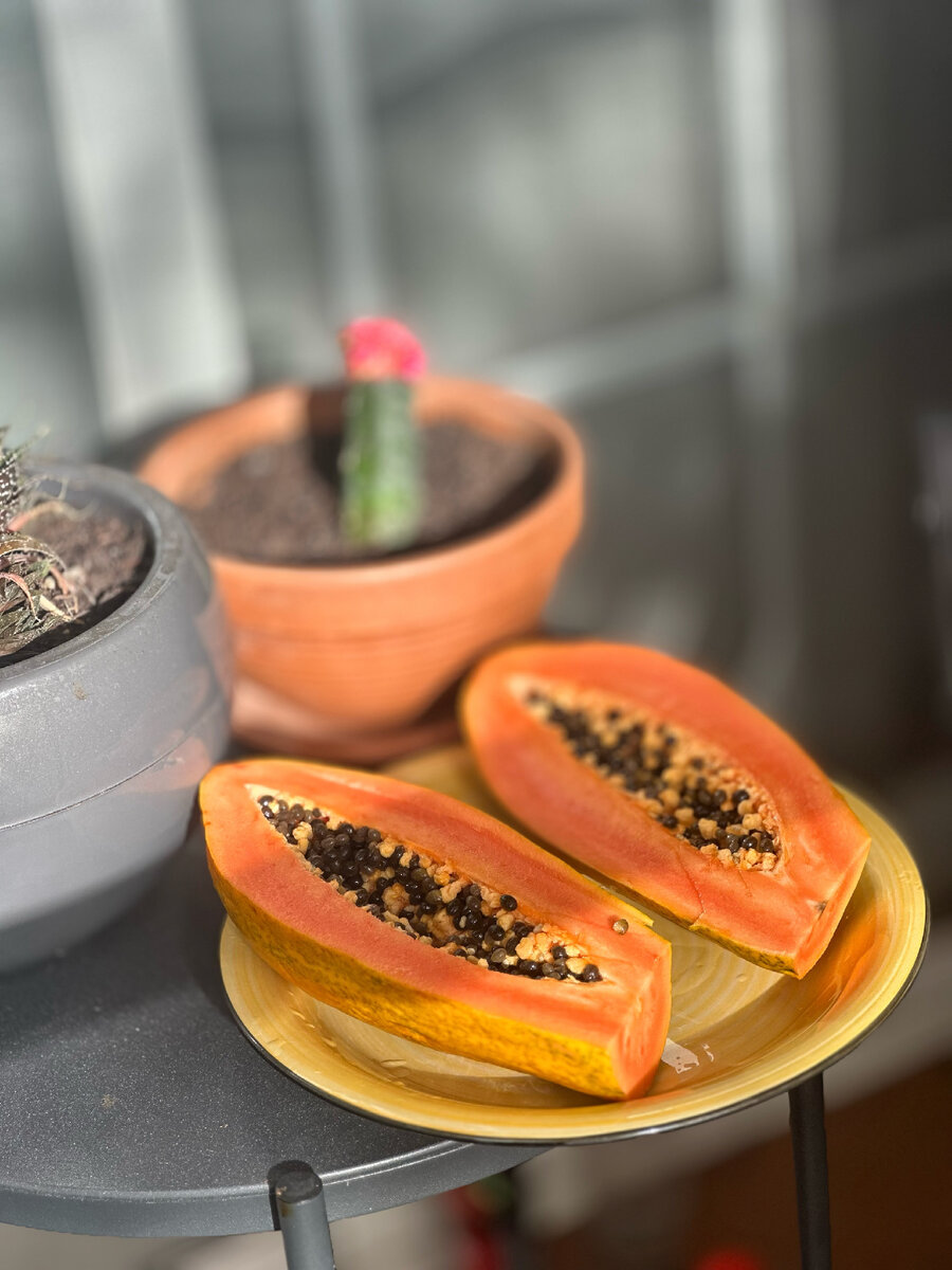 Последняя папайя с утречка 🥲