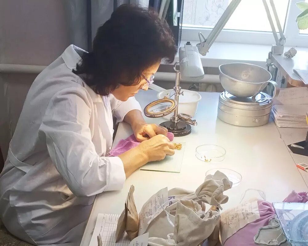 Формальная причина запрета на импорт семян из Нидерландов - выявленное содержание опасных бактерий и примесей. Фото: Российский сельскохозяйственный центр