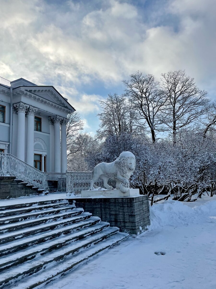 ЦПКиО в снегу