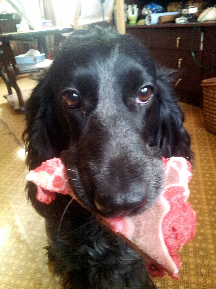 Это я своих девчонок с 8 марта поздравляла. Тогда мы ещё жили в городе.