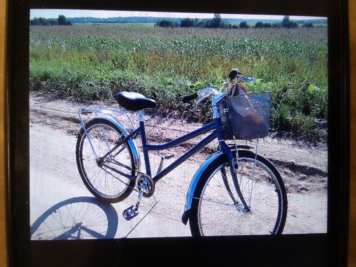 Мой новый друг. Простой, с корзинкой