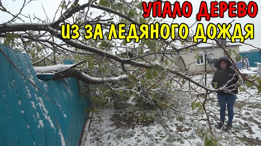 ЧП В КРАСНОДАРЕ / УСТАНОВИЛ ТРУБУ ДЛЯ ПЕЧКИ / ДЕЛАЮ САУНУ / ПОКУПКИ НА 30000 РУБЛЕЙ / УПАЛО ДЕРЕВО