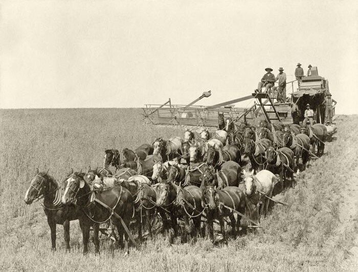 комбайн XIX века. кому не лень, может посчитать, сколько в упряжке лошадиных сил