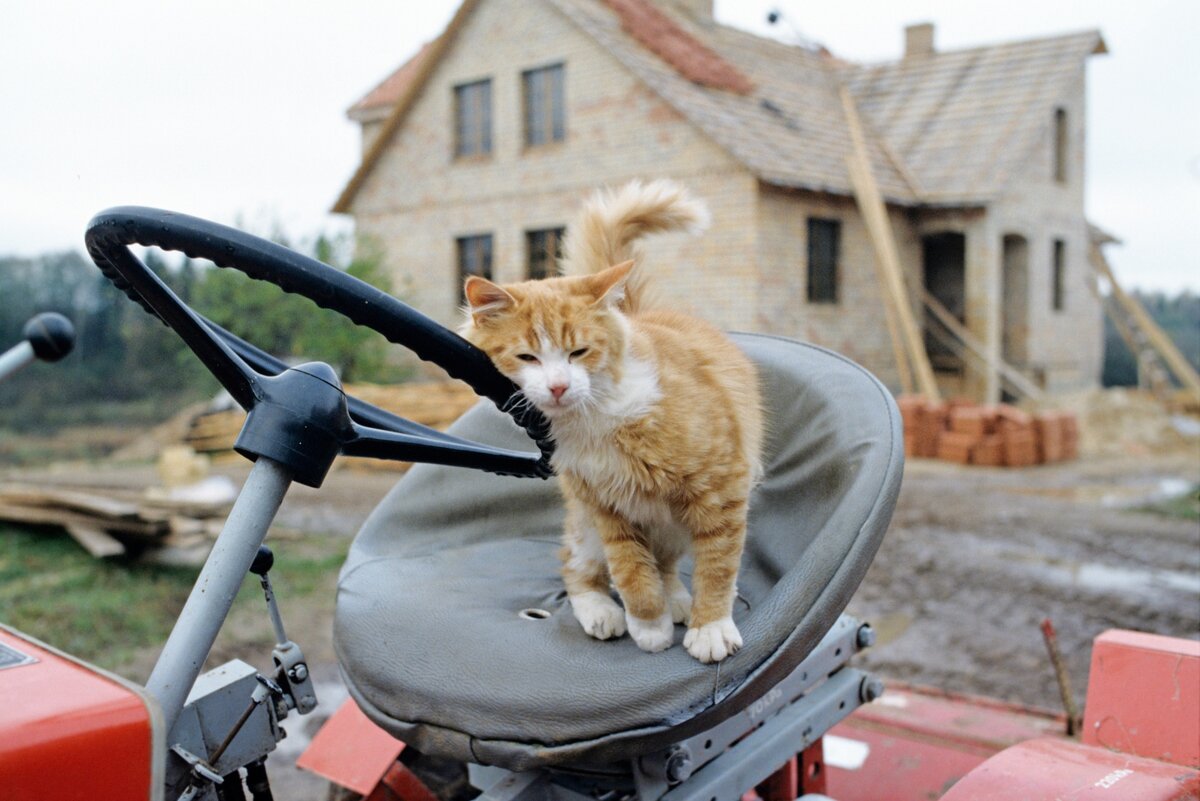    Всеволод Тарасевич / РИА Новости