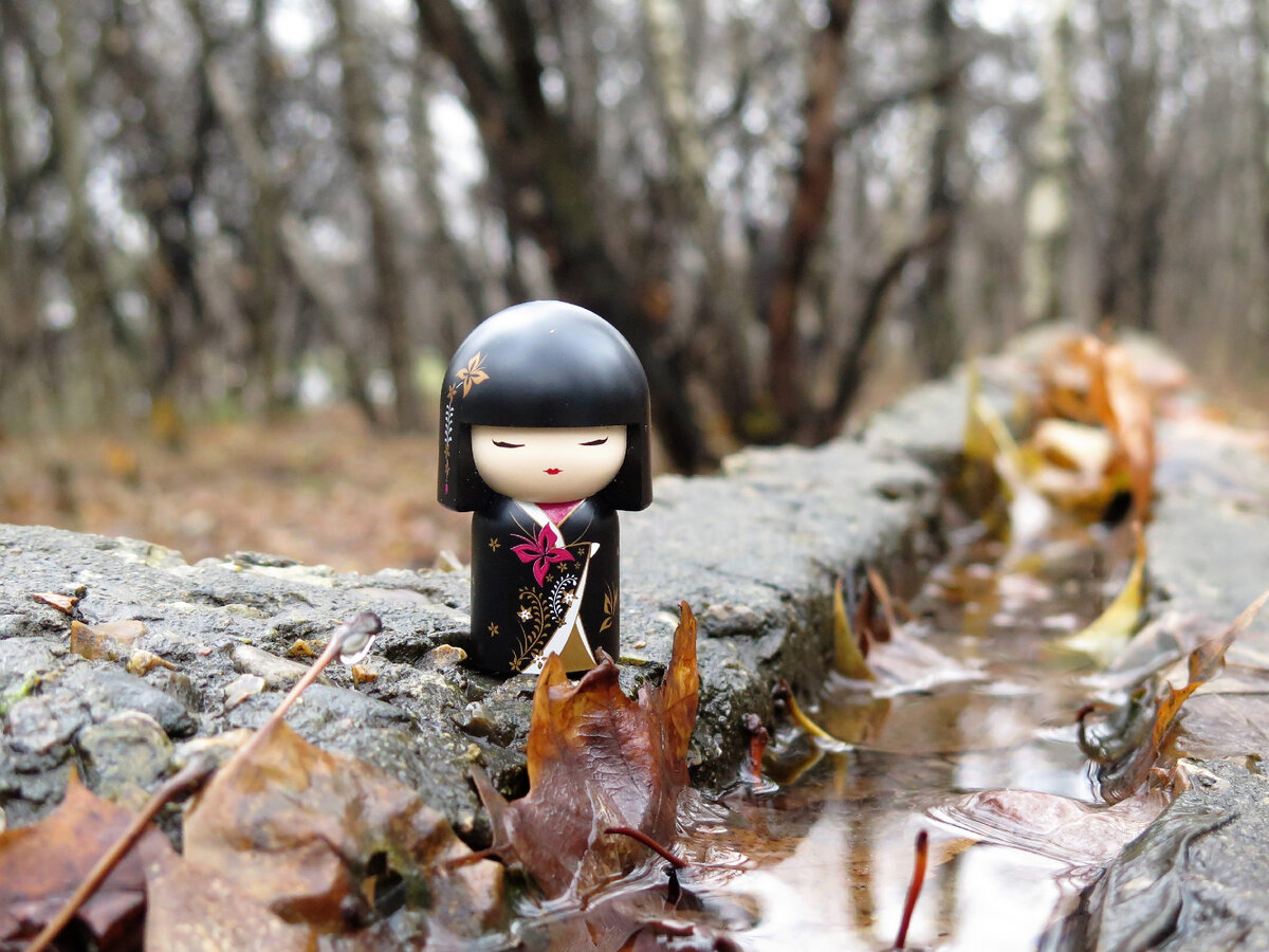 Kimmidoll из моей коллекции. Фотографии авторские.